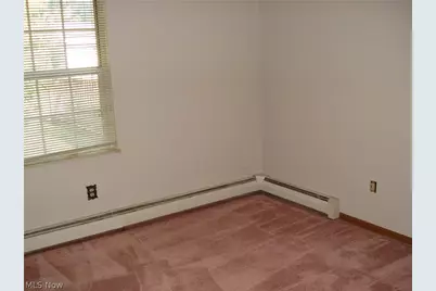 262 W Parkway Drive, Madison, OH 44057 - Photo 12