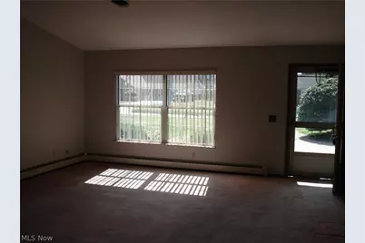 262 W Parkway Drive, Madison, OH 44057 - Photo 4