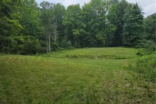 4146 New Hudson Rd, Orwell, OH 44076 - Photo 40