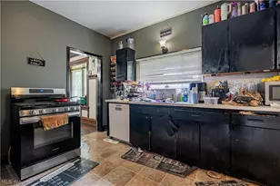 228 Para Ave, Akron, OH 44305 - Photo 10