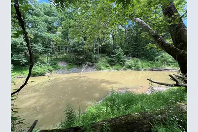 3527 Footville Richmond Road, Rock Creek, OH 44084 - Photo 22
