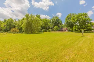 9503 Mennonite Rd, Wadsworth, OH 44281 - Photo 18