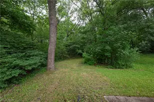 1320 19th St NE, Canton, OH 44714 - Photo 28