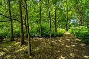 38541 Bell Rd, Willoughby, OH 44094 - Photo 36