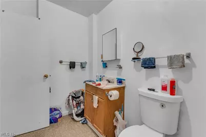 9607 Sophia Avenue, Loveland, OH 44104 - Photo 42