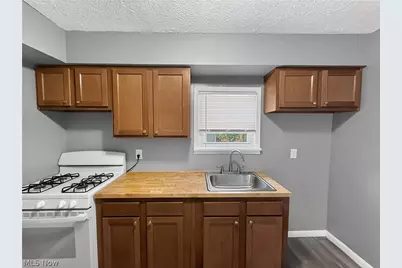 10409 Nelson Avenue, Loveland, OH 44105 - Photo 6