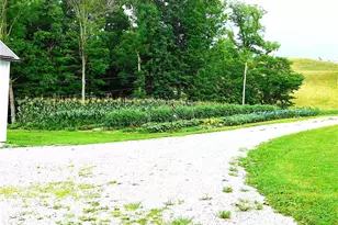 36800 Mann Ridge Rd, Jerusalem, OH 43747 - Photo 36