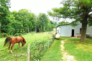 36800 Mann Ridge Rd, Jerusalem, OH 43747 - Photo 48
