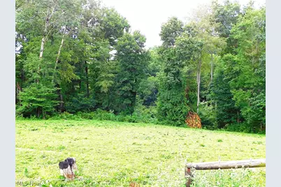 36800 Mann Ridge Road, Jerusalem, OH 43747 - Photo 46