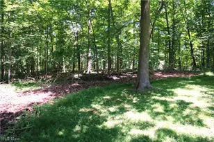 149 Lowrie Blvd, Northfield, OH 44067 - Photo 6