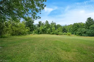 11770 Painesville Warren Rd, Concord Twp, OH 44077 - Photo 40