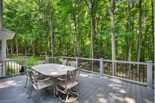 1144 Tanglewood Dr, Mantua, OH 44255 - Photo 28