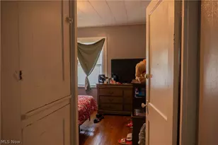 9917 Manor Ave, Loveland, OH 44104 - Photo 38