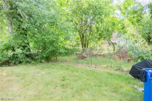 6004 Lexington Ave, Loveland, OH 44103 - Photo 4