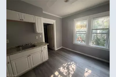 10706 Reno Avenue, Loveland, OH 44105 - Photo 4