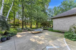 416 Castle Pines Dr, Akron, OH 44333 - Photo 46
