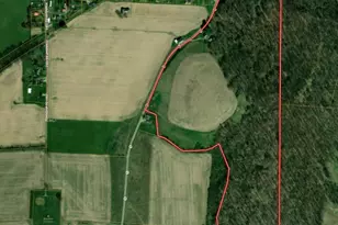 30410 State Route 60, Warsaw, OH 43844 - Photo 2