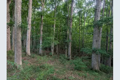 5045 Tract C E Reinersville Road, McConnelsville, OH 45786 - Photo 10