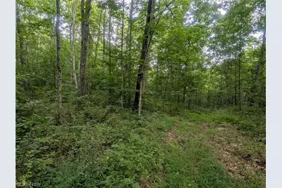 0 Tract D E. Reinersville Road, McConnelsville, OH 45786 - Photo 12