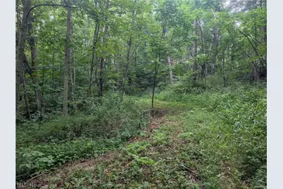 0 Tract D E. Reinersville Road, McConnelsville, OH 45786 - Photo 14