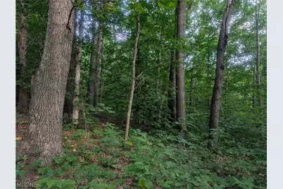 0 Tract Abcd Early Ridge Road, McConnelsville, OH 45786 - Photo 20