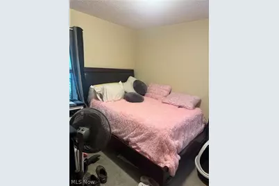 2424 Triplett Boulevard, Akron, OH 44312 - Photo 8
