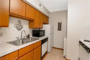 709 & 717 Carroll St, Akron, OH 44304 - Photo 12
