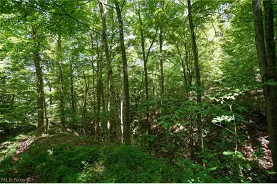235 Butterbean Ridge Rd, Philo, OH 43771 - Photo 28