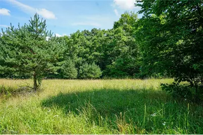 235 Butterbean Ridge Rd, Philo, OH 43771 - Photo 2