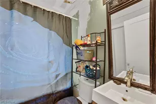 11201 Melba Ave, Loveland, OH 44104 - Photo 16