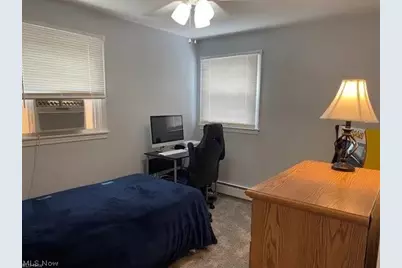 256 S Roanoke Avenue, Austintown, OH 44515 - Photo 10