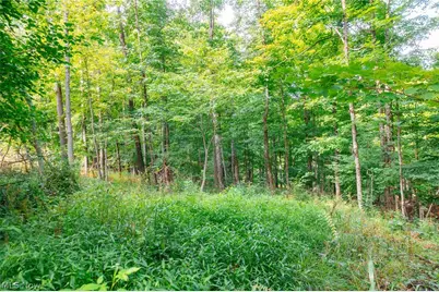 Township Road 41A Road, Warsaw, OH 43844 - Photo 10