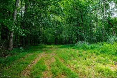 Hill Road, Dresden, OH 43821 - Photo 18