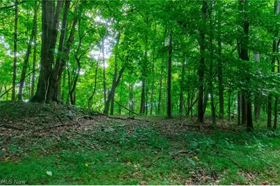Hill Road, Dresden, OH 43821 - Photo 28