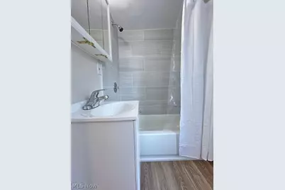 4213 Stickney Avenue, Loveland, OH 44109 - Photo 20