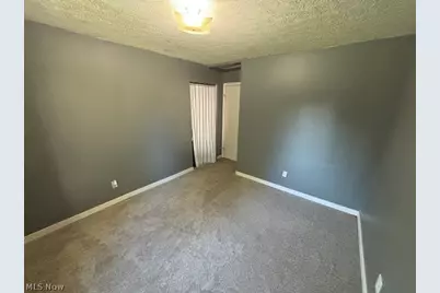 9888 Short Drive, Windham, OH 44288 - Photo 10