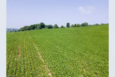 Pigeon Roost Road, Howard, OH 43028 - Photo 10