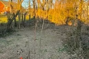 361 Central Ct, Steubenville, OH 43952 - Photo 6