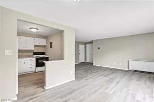 10301 Lake Ave, Loveland, OH 44102 - Photo 12