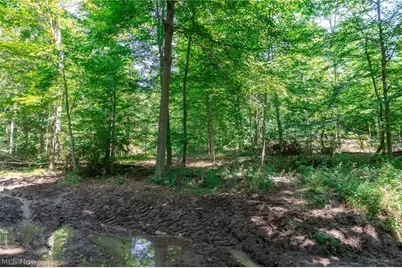 Township Road 2156, Ashland, OH 44805 - Photo 26