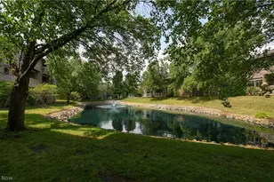 3800 Rosemont Blvd, Fairlawn, OH 44333 - Photo 36