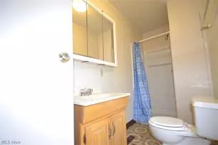 514 Brown St, Akron, OH 44311 - Photo 18