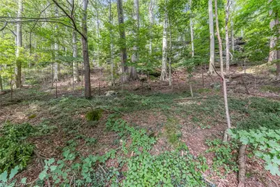 4723 Everett Road, Richfield, OH 44286 - Photo 4