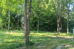 6168 Twitchell Rd, Andover, OH 44003 - Photo 8