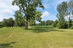 7999 Wadsworth Rd, Wadsworth, OH 44281 - Photo 6