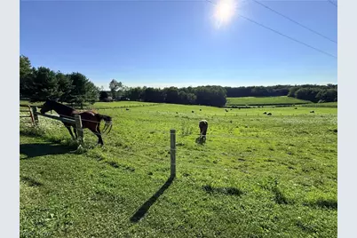 9268 County Road 39, Bloomingdale, OH 43910 - Photo 38