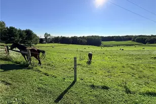 9268 Co Rd 39, Bloomingdale, OH 43910 - Photo 38