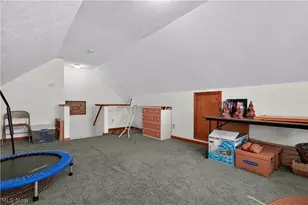 341 W Cedar St, Jefferson, OH 44047 - Photo 16