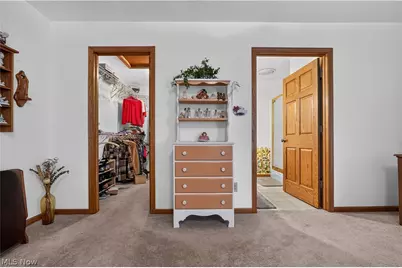 341 W Cedar Street, Jefferson, OH 44047 - Photo 46