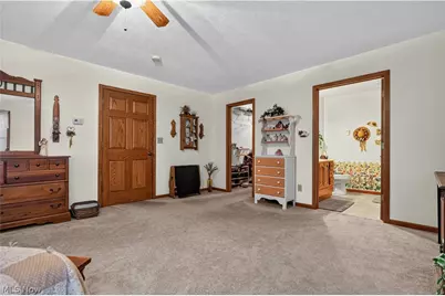 341 W Cedar Street, Jefferson, OH 44047 - Photo 44